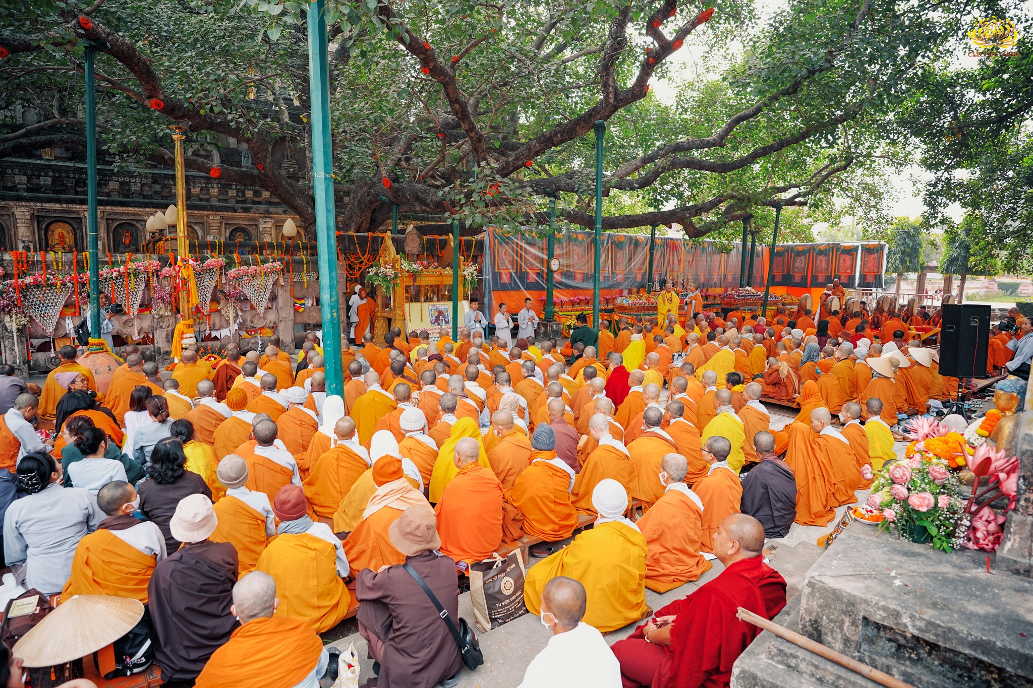 Cô Phạm Thị Yến cùng đại diện các Phật tử quỳ gối, trang nghiêm đối trước chư Tôn đức Tăng Ni dâng lời tác bạch
