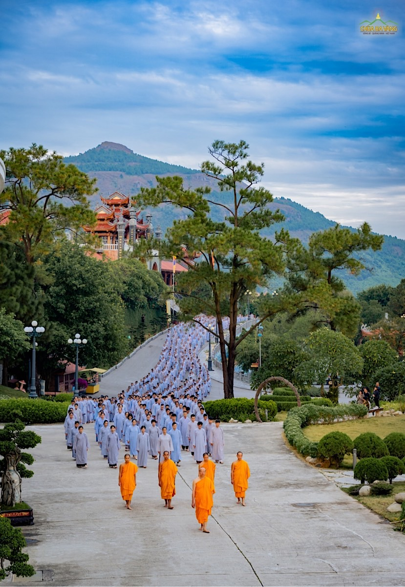 Trong động có tĩnh - Sư Phụ Thích Trúc Thái Minh hướng dẫn các thiền sinh hành thiền trong khuôn viên chùa