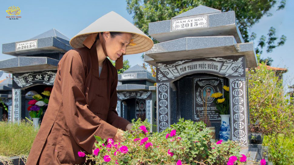 Tết Thanh Minh là dịp mà người nhà sẽ đi dọn dẹp, sửa sang lại phần mộ của người thân đã mất