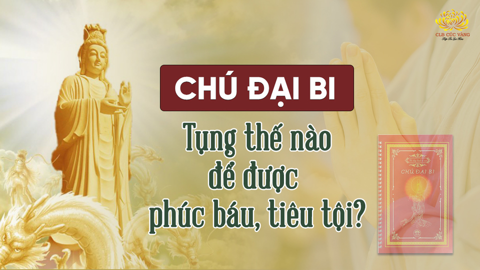 chu-dai-bi-1644