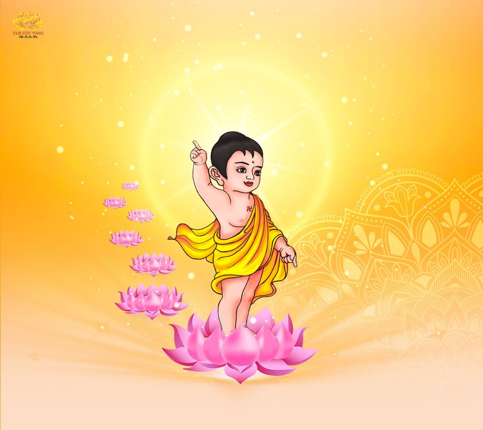 Bảy bước hoa sen có nghĩa rằng Đức Phật đản sinh về cõi Sa Bà để dẫn dắt chúng sinh ra khỏi lục đạo luân hồi, thoát khỏi sự khổ đau (ảnh minh họa)