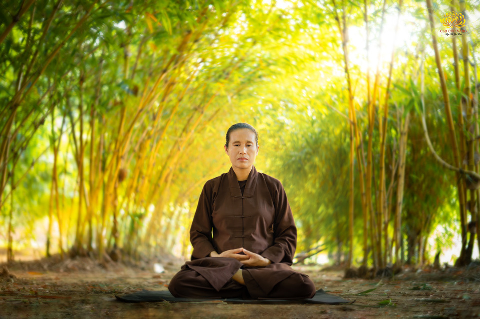 Thiền là phương pháp giúp quản trị tâm, giúp tâm dần dần được an định