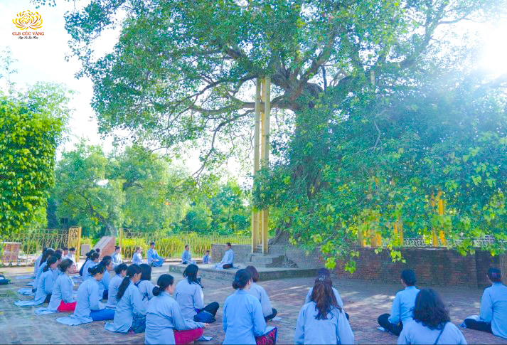 Cô Phạm Thị Yến và các Phật tử CLB Cúc Vàng ngồi thiền tại cội cây Bồ đề do ngài Anan trồng tại tịnh xá Kỳ Viên  