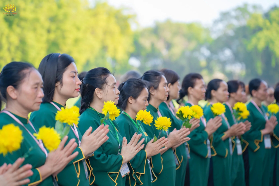 Những đóa Cúc Vàng tượng trưng cho lòng thành kính, đồng thời cũng là sự nhắc nhở về hành trình tu tập, sự tinh tấn không ngừng nghỉ để đi đến bờ giải thoát