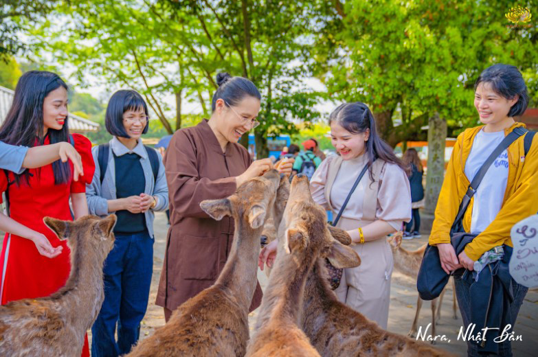 Từ vô lượng là yêu thương tất cả chúng sinh đều bình đẳng như nhau