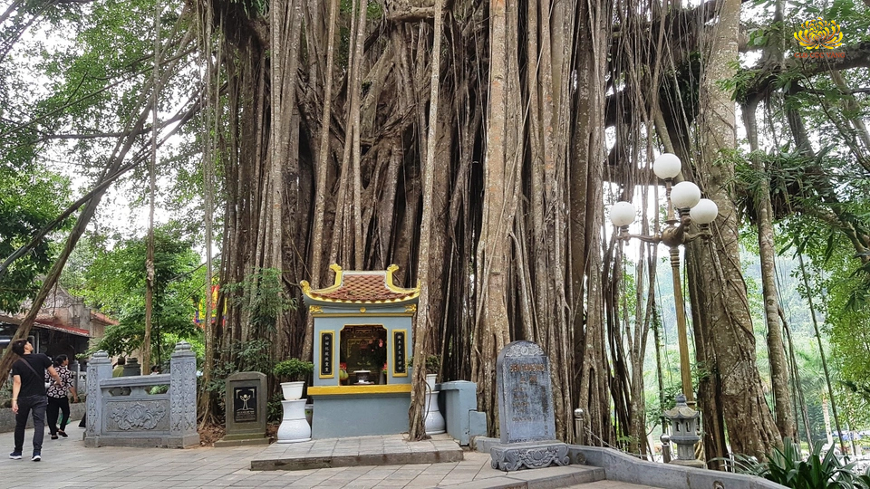 Quỷ Thần thường trú ngụ ở cây không có chủ hoặc ở nơi chùa chiền, miếu, đền (ảnh minh họa)