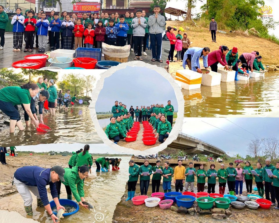 Các đạo tràng Phật tử phóng sinh cầu an đầu năm Ất Tỵ 2025  