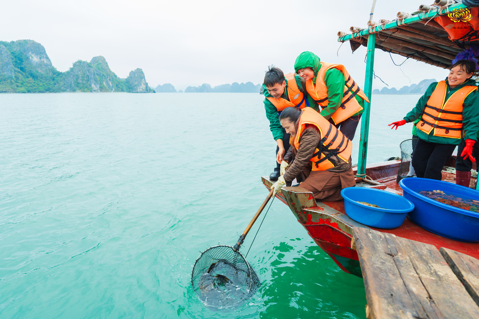 Cô Phạm Thị Yến thả các con vật về với biển