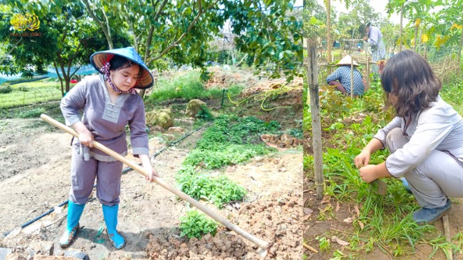 Hai bé Trúc Phương và Hải Anh rất tích cực làm việc