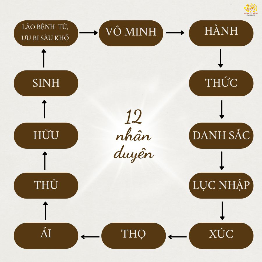 Vòng tròn 12 nhân duyên