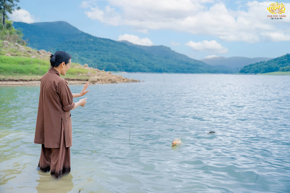 Được sống tự do là niềm hạnh phúc của mọi chúng sinh