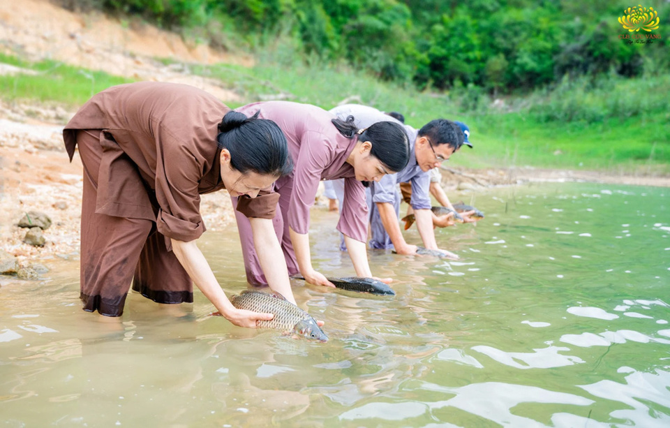 Phóng sinh giúp tiêu trừ bệnh tật, thọ mạng kéo dài