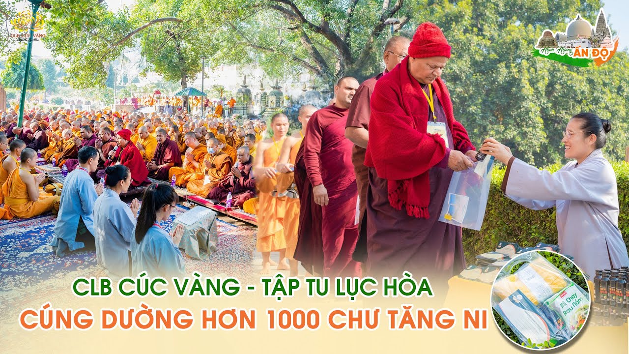 [Video] Cúng dường hơn 1000 chư Tăng Ni tại Bồ đề đạo tràng | Hành hương Ấn Độ