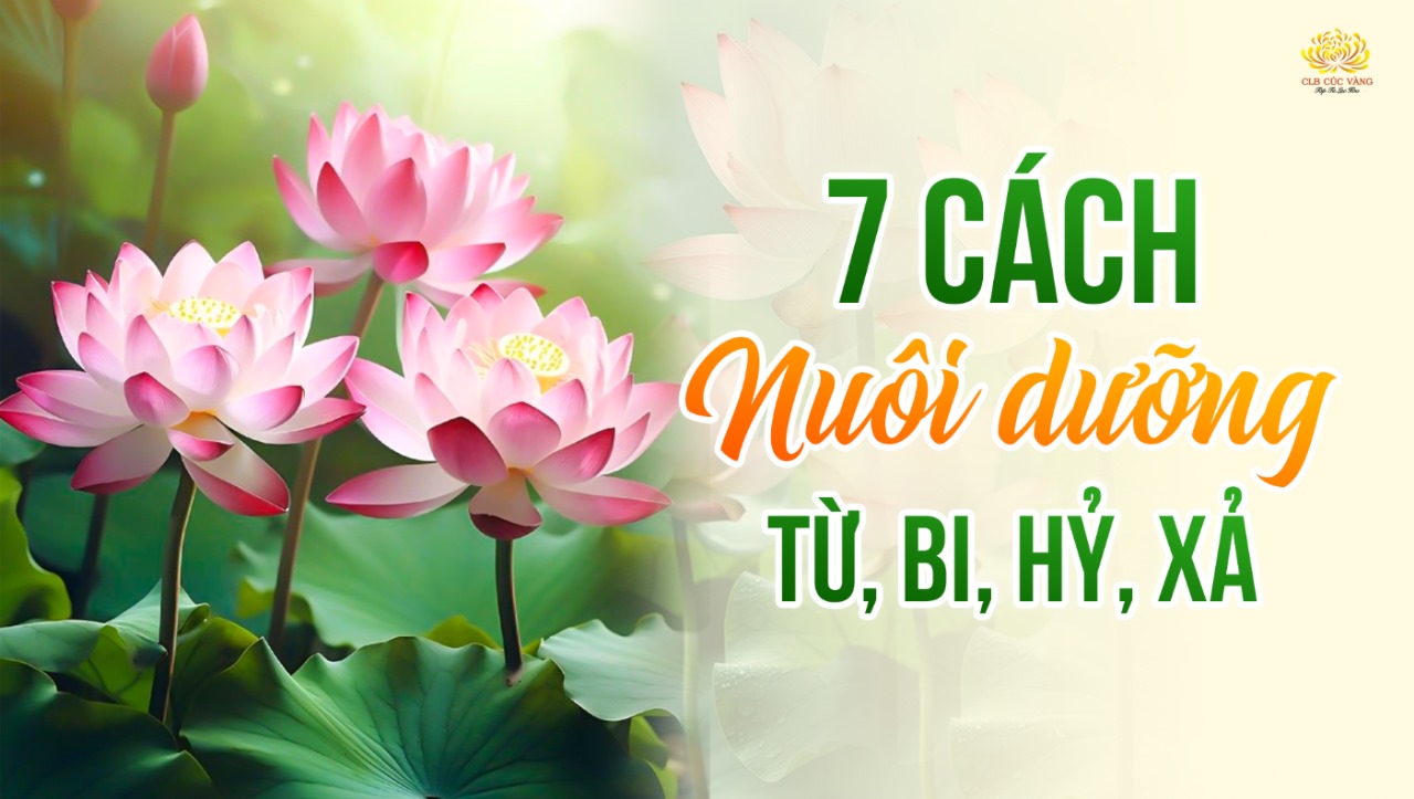 7 cách thực hành để nuôi dưỡng tâm từ, bi, hỷ, xả; giảm trừ tham sân