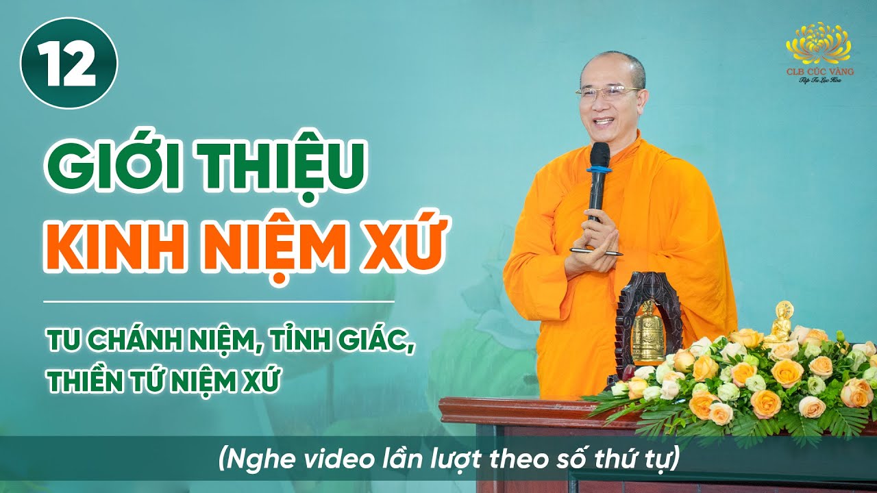 Giới thiệu kinh Niệm Xứ | Niệm thân - Thiền Tứ Niệm Xứ | Bài số 12