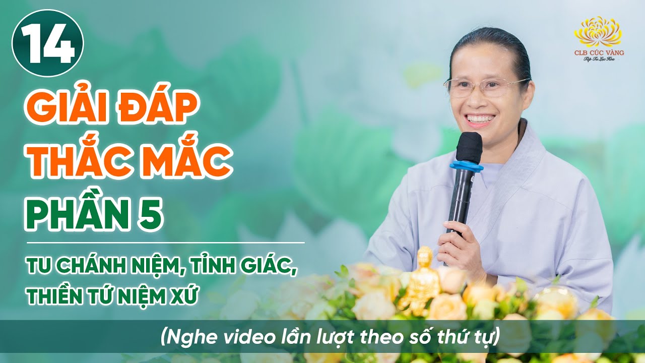 Giải đáp thắc mắc - Phần 5 - Nhiệt tâm, tỉnh giác |  Niệm thân - Thiền Tứ Niệm Xứ | Bài số 14