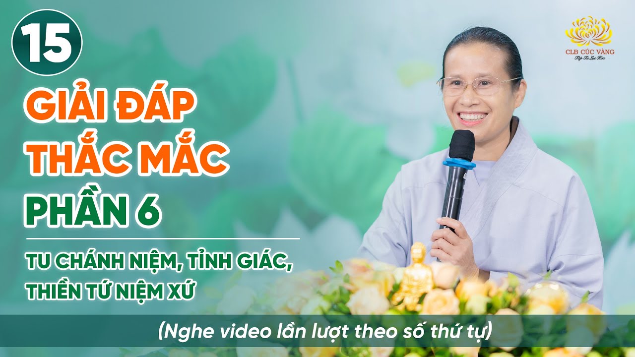 Giải đáp thắc mắc - Phần 6 - Nhiệt tâm, tỉnh giác | Niệm thân - Thiền Tứ Niệm Xứ | Bài số 15