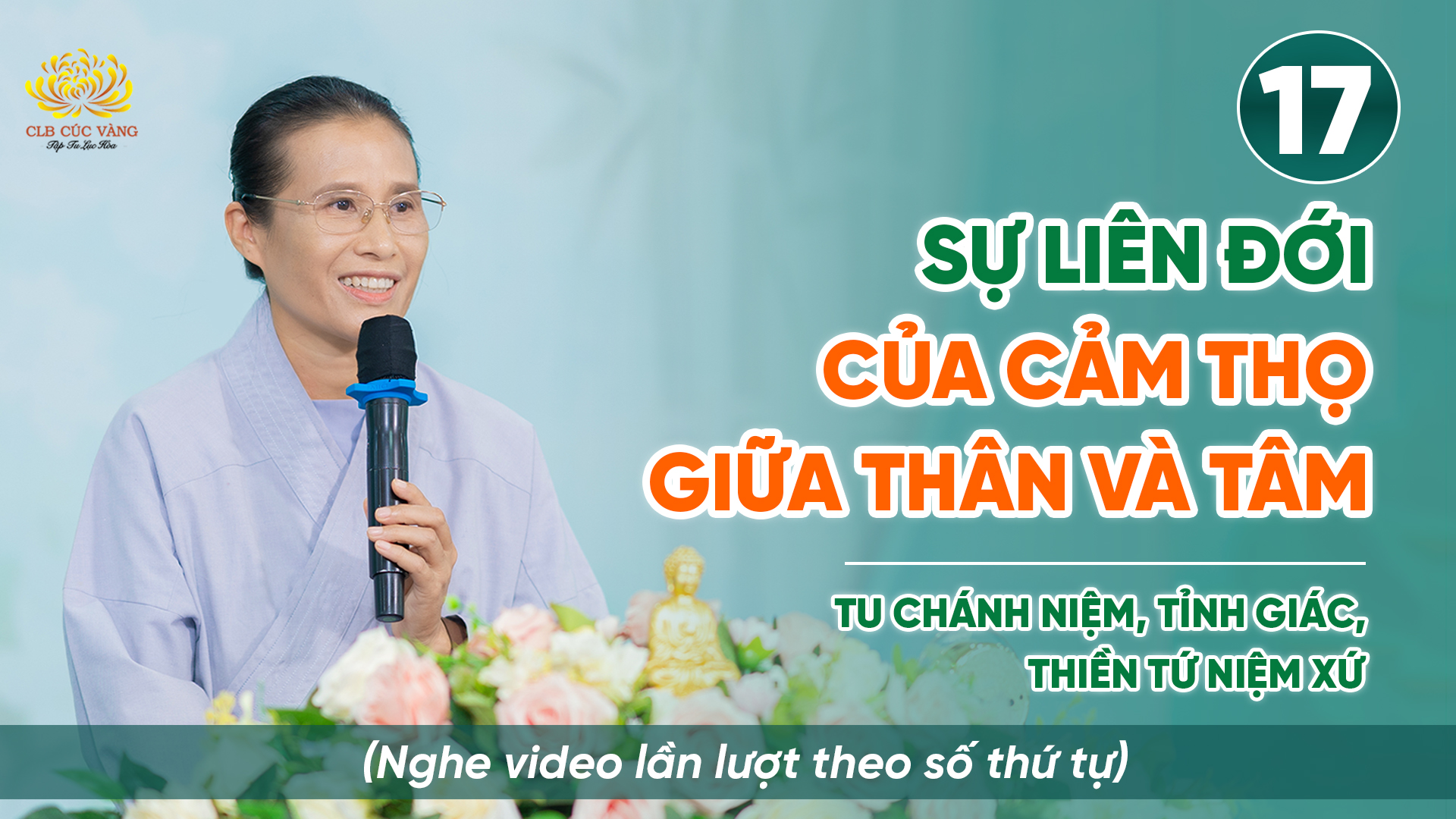 Sự liên đới của cảm thọ giữa thân và tâm | Niệm thân - Thiền Tứ Niệm Xứ | Bài số 17