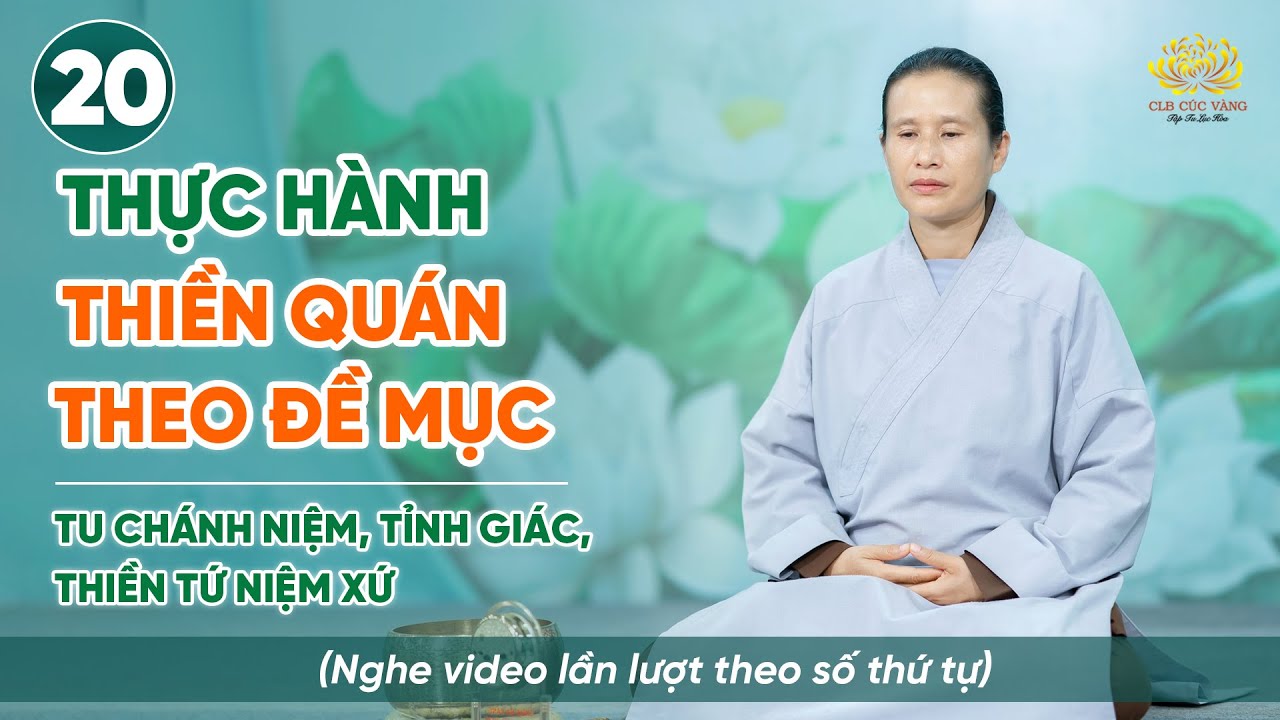 Thực hành thiền quán tâm theo đề mục | Niệm thân - Thiền Tứ Niệm Xứ | Bài số 20