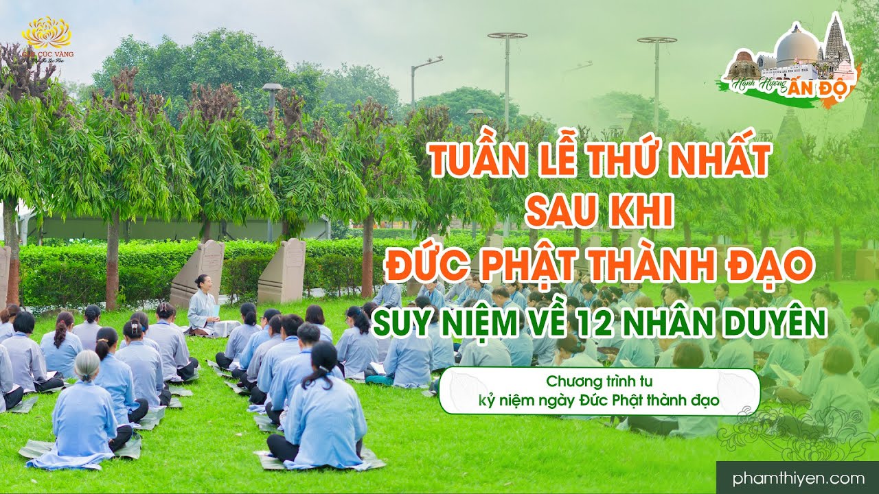 Tuần lễ thứ nhất sau khi Đức Phật thành đạo - suy niệm về 12 nhân duyên