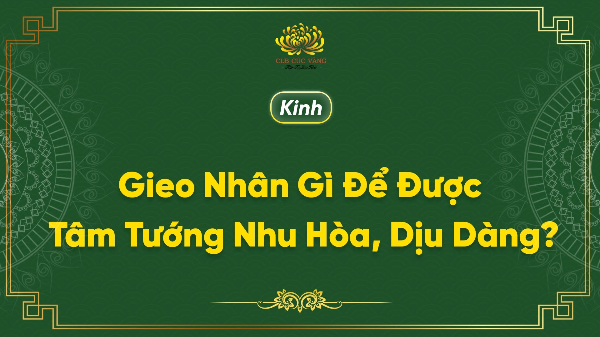 Kinh Gieo Nhân Gì Để Được Tâm Tướng Nhu Hòa, Dịu Dàng?