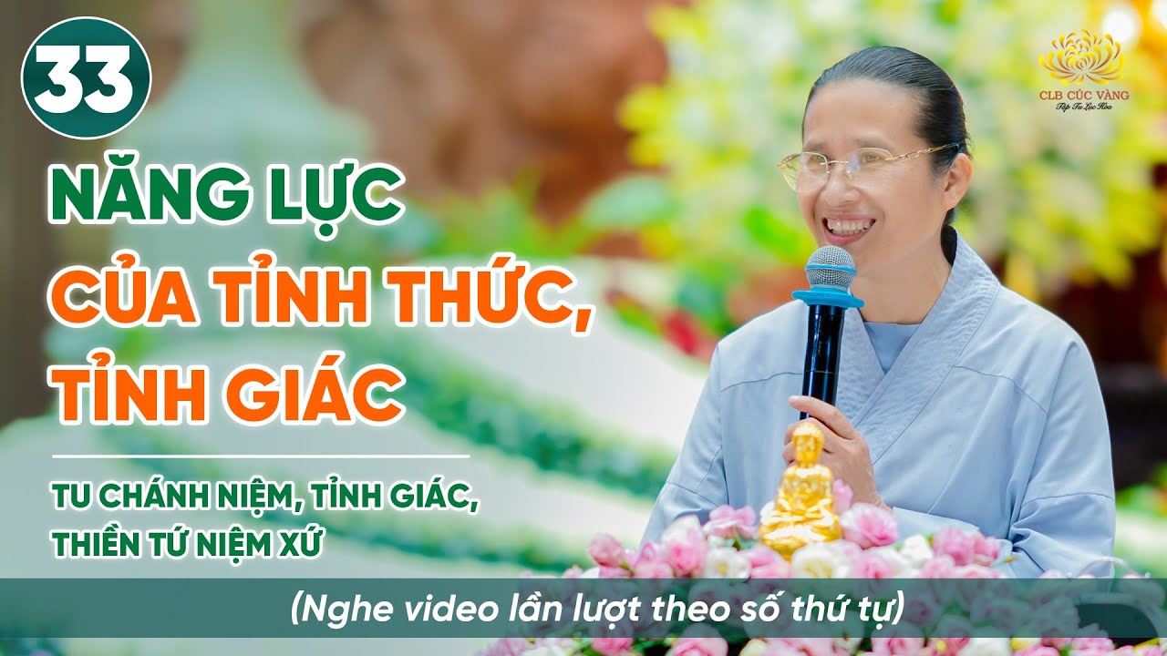 Năng lực của tỉnh thức, tỉnh giác | Niệm thân - Thiền Tứ Niệm Xứ | Bài số 33