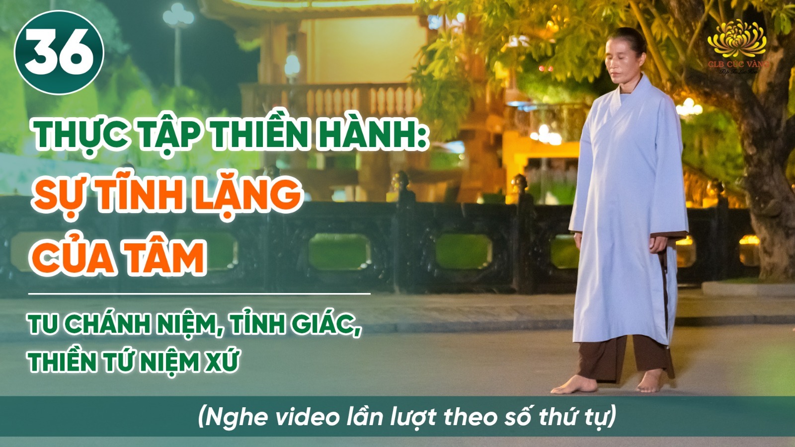 Thực tập thiền hành: Sự tĩnh lặng của tâm | Niệm thân - Thiền Tứ Niệm Xứ | Bài số 36