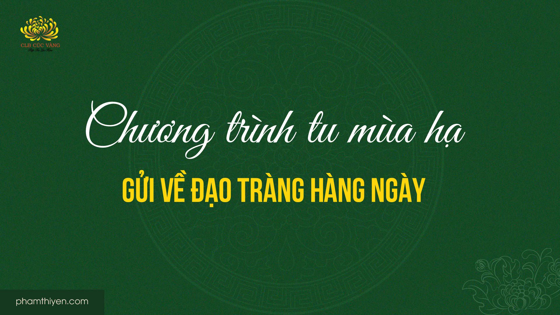 Chương trình tu mùa hạ (gửi về đạo tràng hàng ngày)