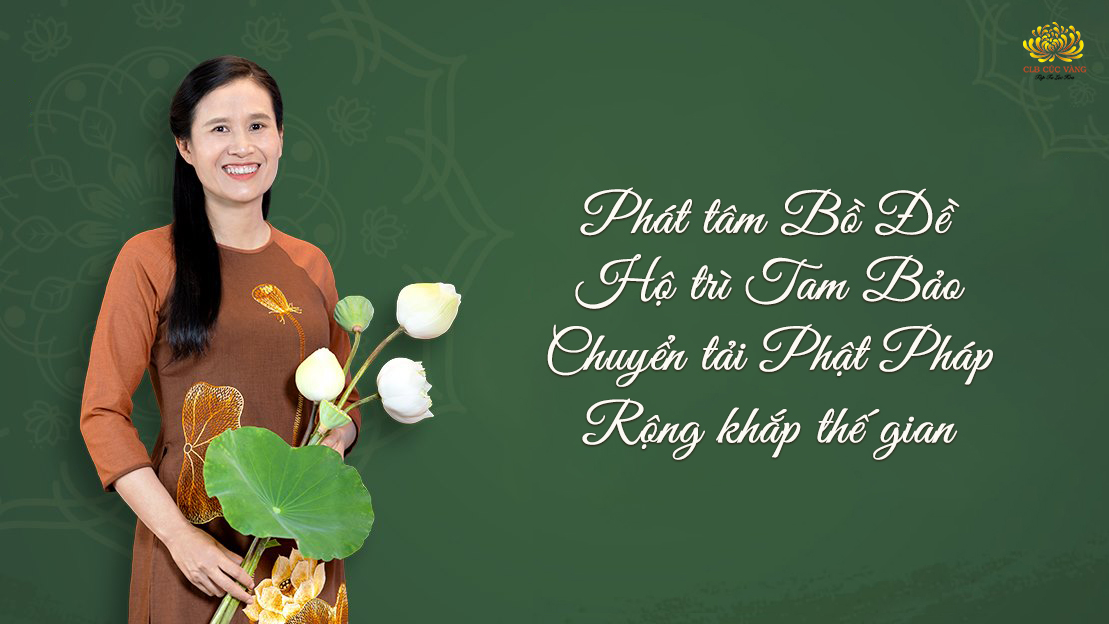 Tổng hợp các video về chương trình tu mùa hạ