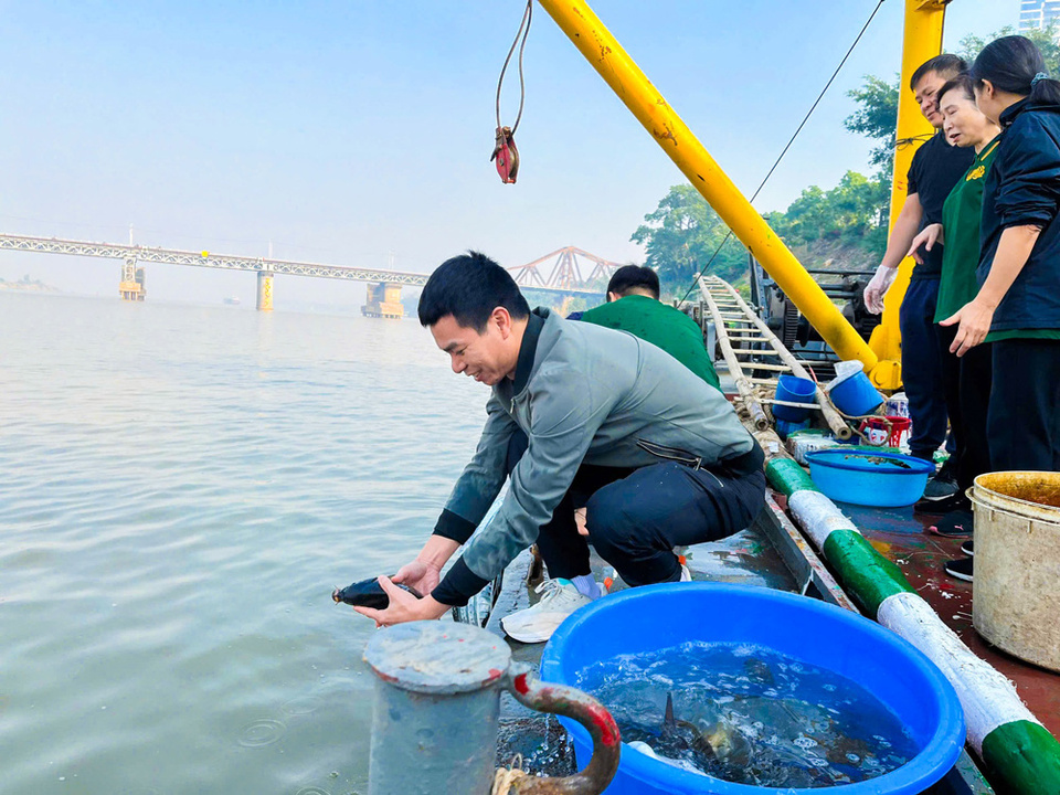 Phóng sinh thế nào để được lợi ích nhất?