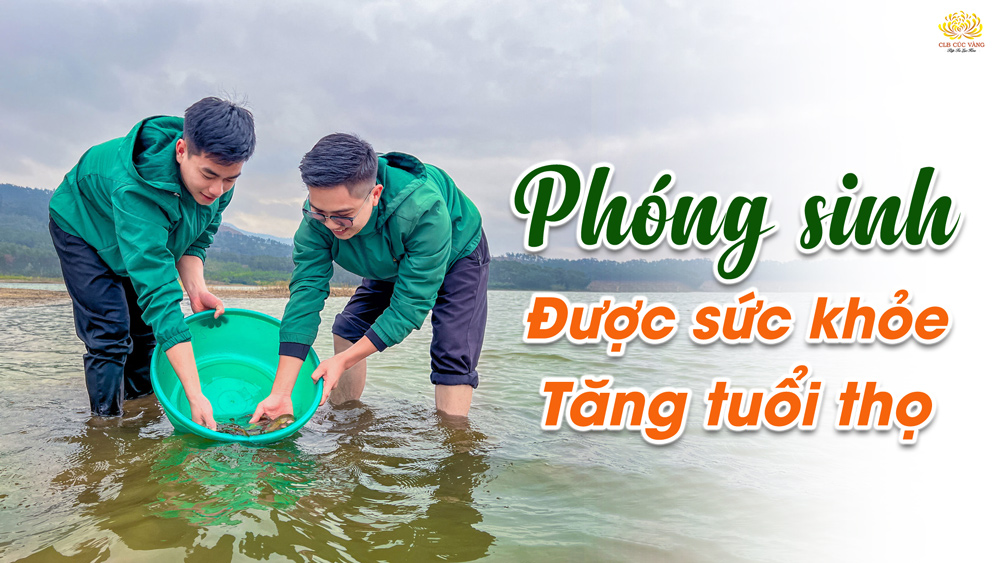 Phóng sinh đúng cách giúp tiêu trừ bệnh tật, thọ mạng dài lâu