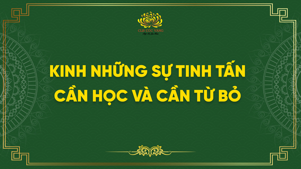 Kinh Những Sự Tinh Tấn Cần Học Và Cần Từ Bỏ