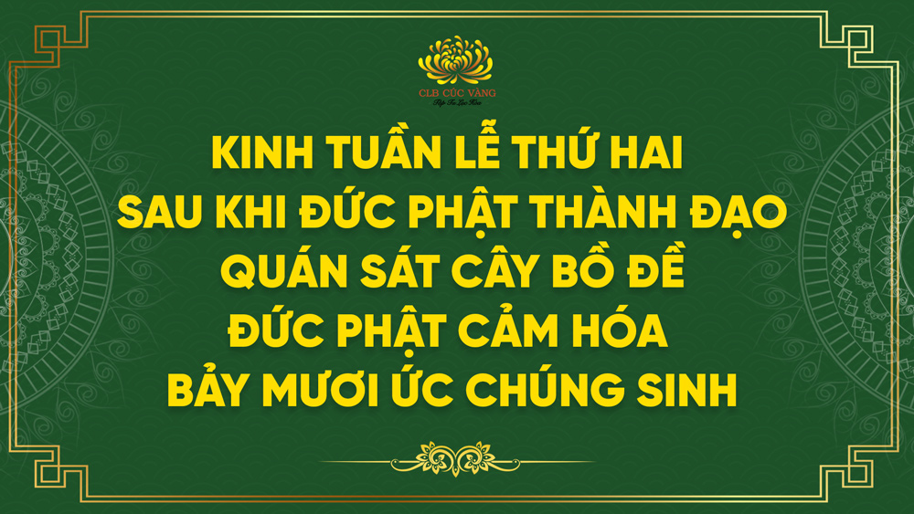 Kinh Tuần Lễ Thứ Hai Sau Khi Đức Phật Thành Đạo - Quán Sát Cây Bồ Đề, Đức Phật Cảm Hóa Bảy Mươi Ức Chúng Sinh
