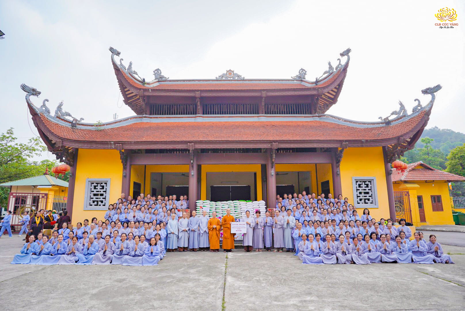 Cô Phạm Thị Yến và các Phật tử trong CLB Cúc Vàng chụp hình lưu niệm cùng đại diện chư Tôn đức Tăng Ni sau khi cúng dường trường hạ tại Học viện Phật giáo Việt Nam