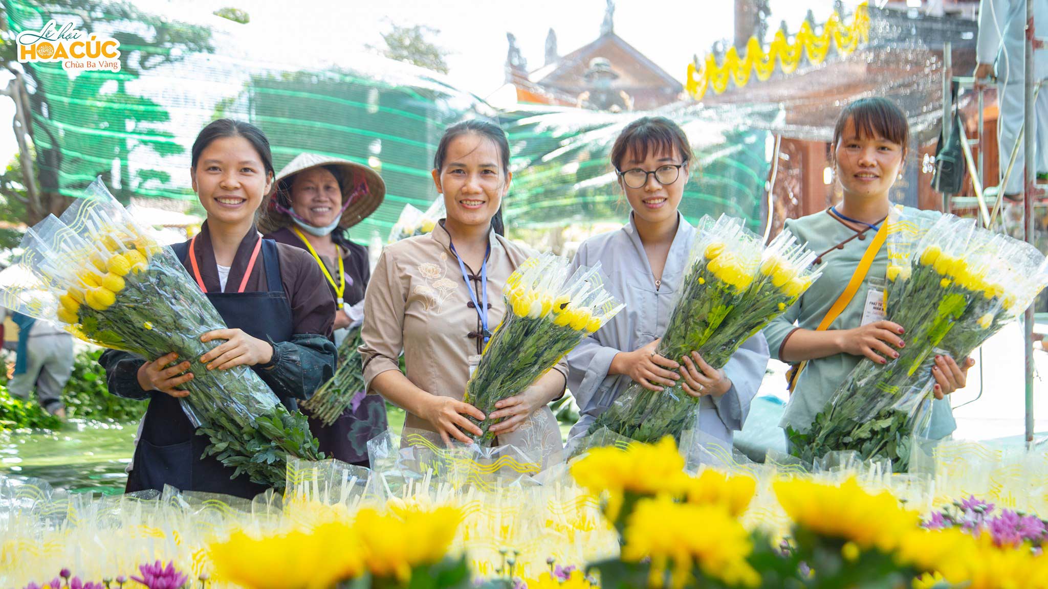 Những bông hoa cúc đầu tiên trong Lễ hội Hoa Cúc đã về đến chùa Ba Vàng
