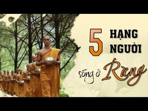 [Video] Năm Hạng Người Sống Ở Rừng