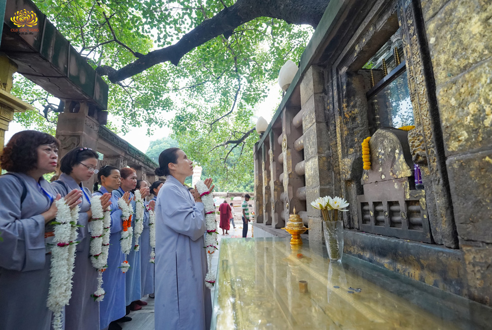 Dâng hoa cúng dường nơi ghi dấu sự kiện Đức Phật thành đạo