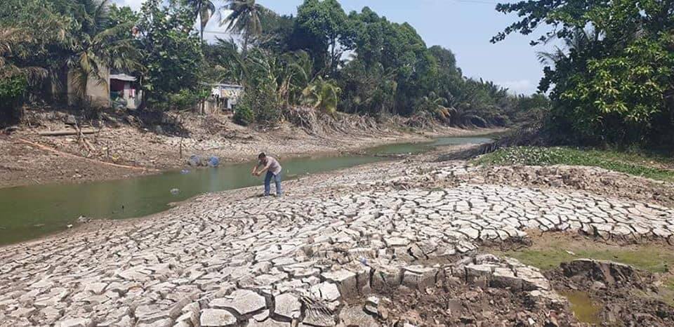 Tại các tỉnh đồng bằng sông Cửu Long, đất nhiễm mặn, nứt nẻ, đồng ruộng khô cằn, sông ngòi cạn hết nước (nguồn: Internet)