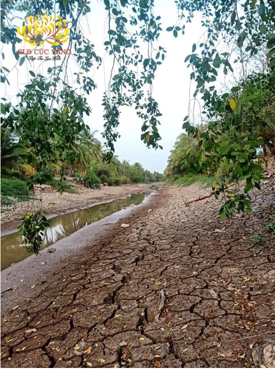 Đất đai nhiễm mặn, nứt nẻ, hạn hán tại đồng bằng sông Cửu Long