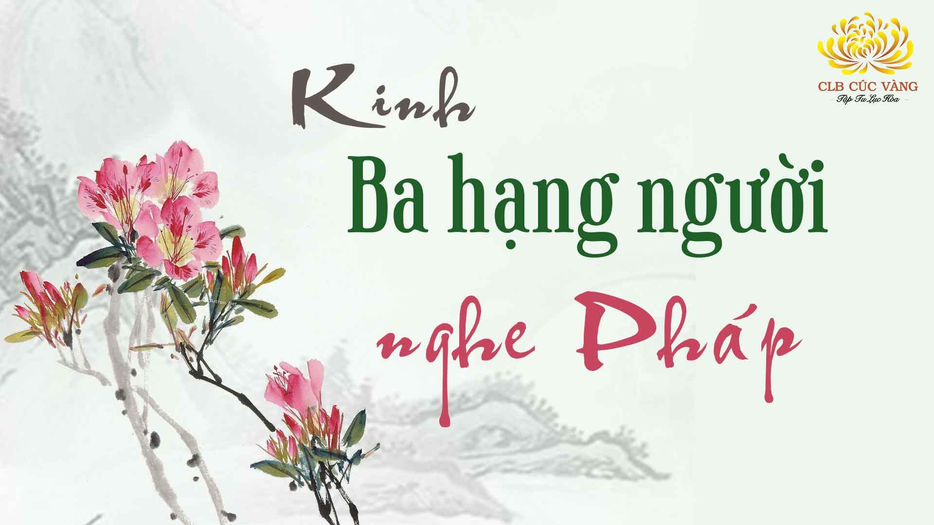 Kinh Ba Hạng Người Nghe Pháp