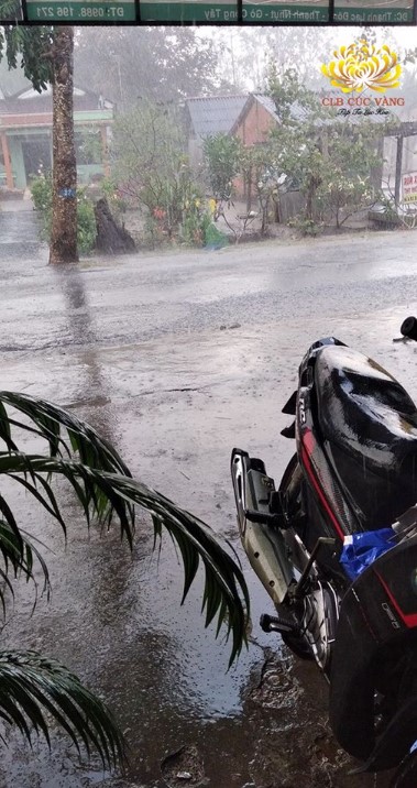 Sau 7 ngày tu tập theo sự hướng dẫn của Cô chủ nhiệm, cơn mưa đầu tiên sau nhiều tháng khô hạn đã đổ xuống tỉnh Tiền Giang – một tỉnh thuộc đồng bằng sông Cửu Long vào ngày 09/3