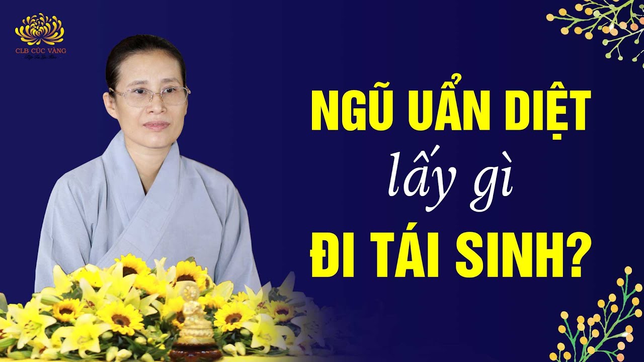 Sau khi chết ngũ uẩn diệt lấy gì đi tái sinh?