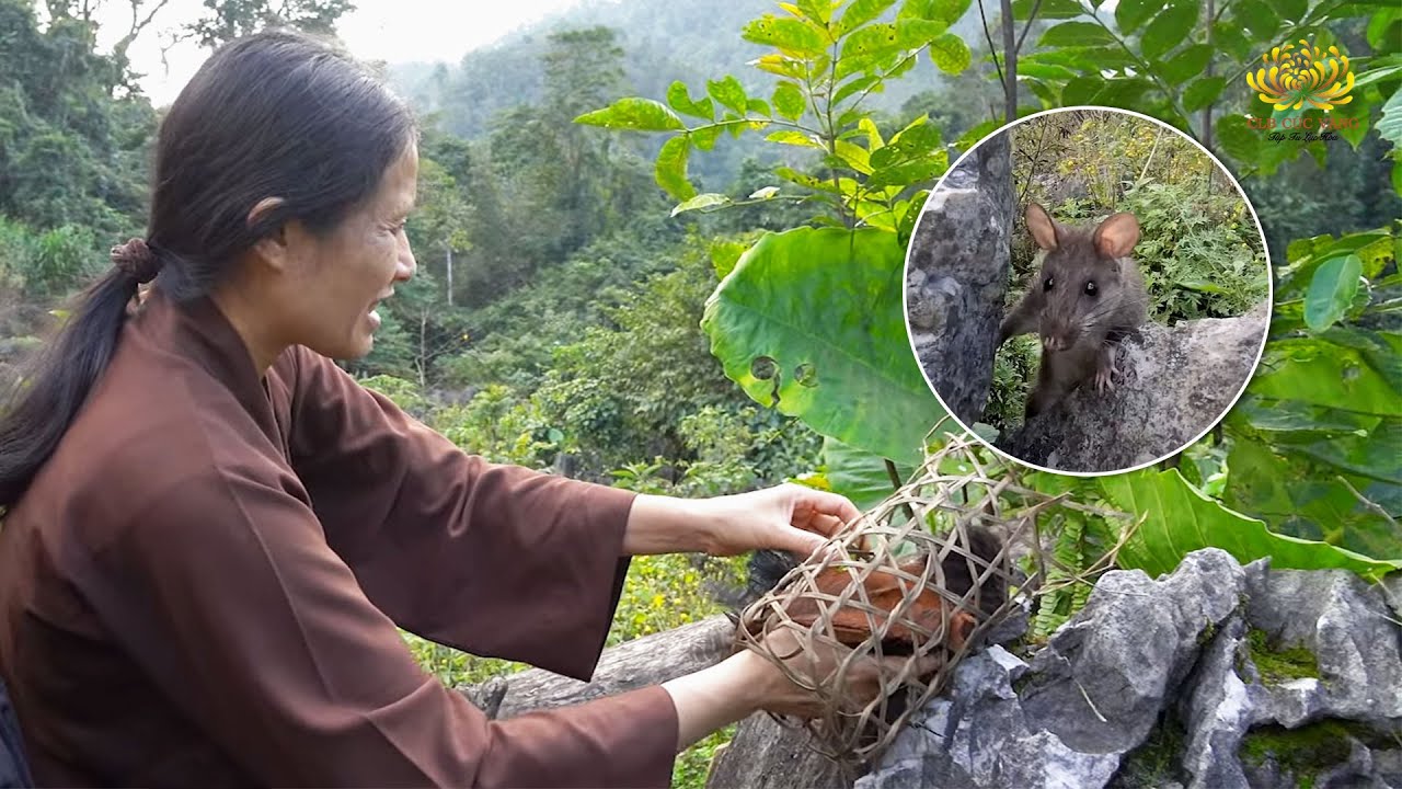 Câu chuyện nhỏ trên đường đi - Hành trình trao yêu thương nơi núi rừng Tây Bắc
